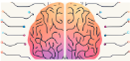 red de conexiones neuronales en el cerebro humano